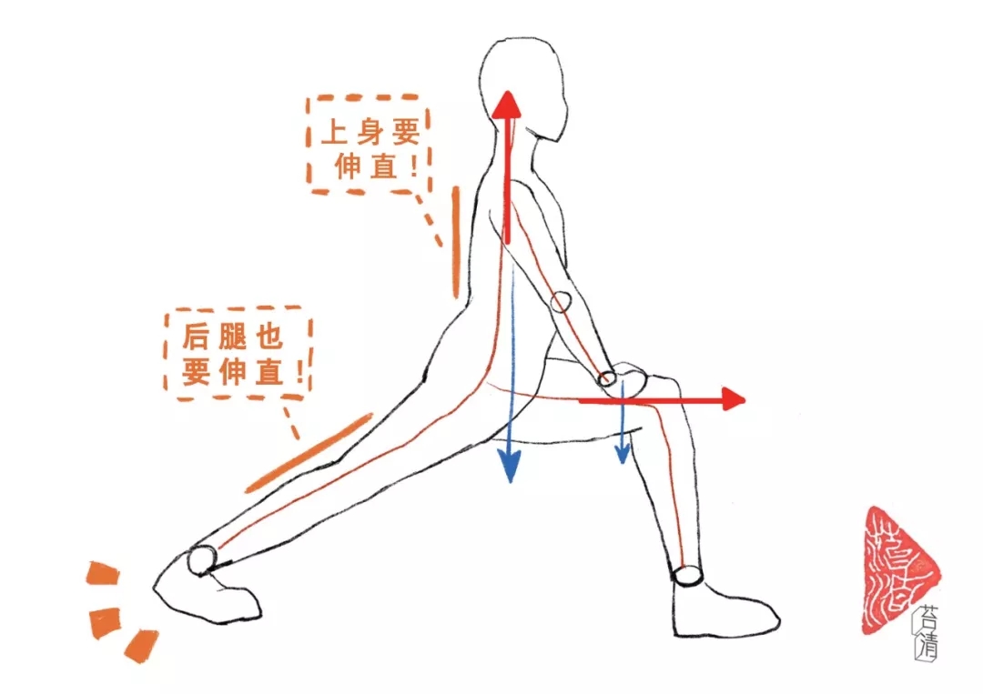 弓步压腿正确姿势图片图片